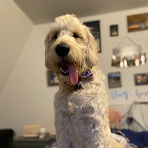 Meet your Posher, Leigha